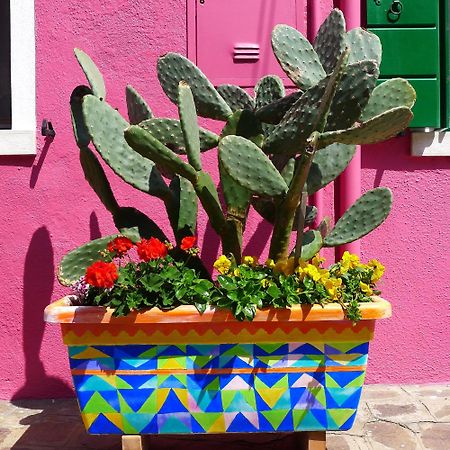 Night Galleria Holiday Home - Bed & Art In Burano - The Pink House Exteriör bild